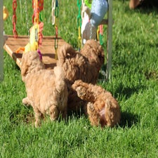 img_8444-standard.jpg