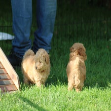 img_8447-standard.jpg