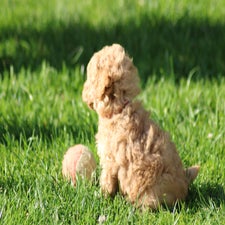 img_8456-standard.jpg