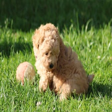 img_8458-standard.jpg