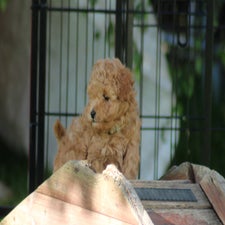 img_8459-standard.jpg
