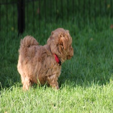 img_8466-standard.jpg