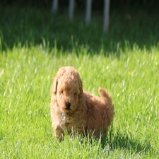 img_8477-standard.jpg