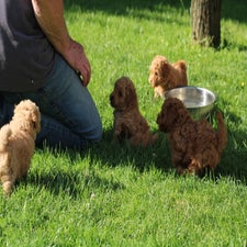 img_8478-standard.jpg