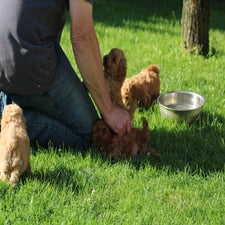 img_8479-standard.jpg