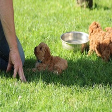 img_8481-standard.jpg