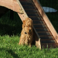img_8482-standard.jpg