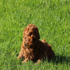 img_8488-standard.jpg