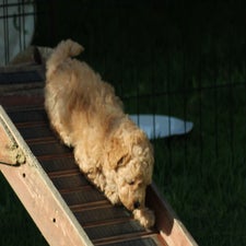 img_8490-standard.jpg