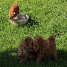 img_8502-standard.jpg