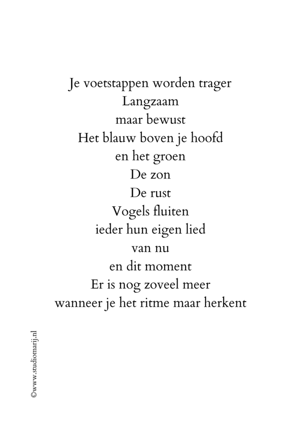Je voetstappen worden trager (5 stuks A5)