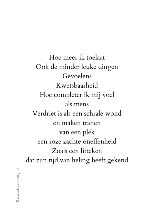 Hoe meer ik toelaat (5 stuks A5)