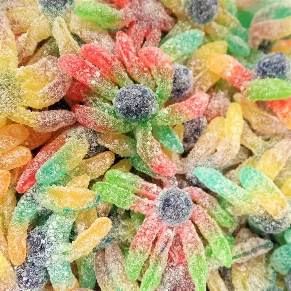 Poulpe acidulé Joubini