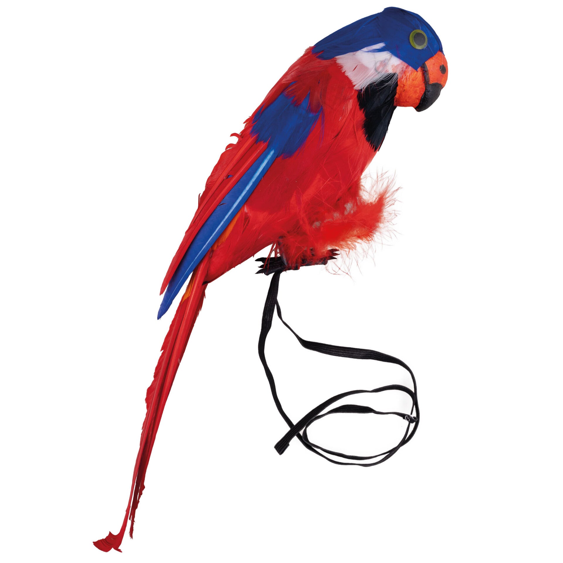 Papegaai 40 cm