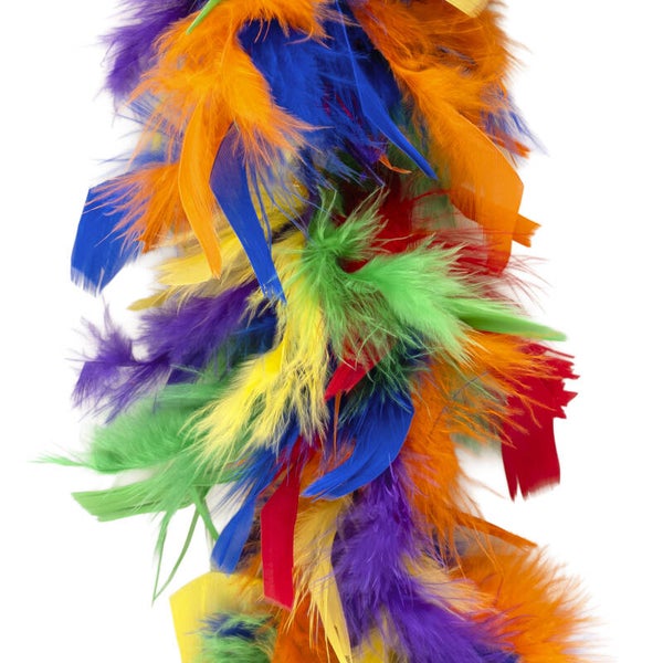 Boa regenboog 2m 45 gr