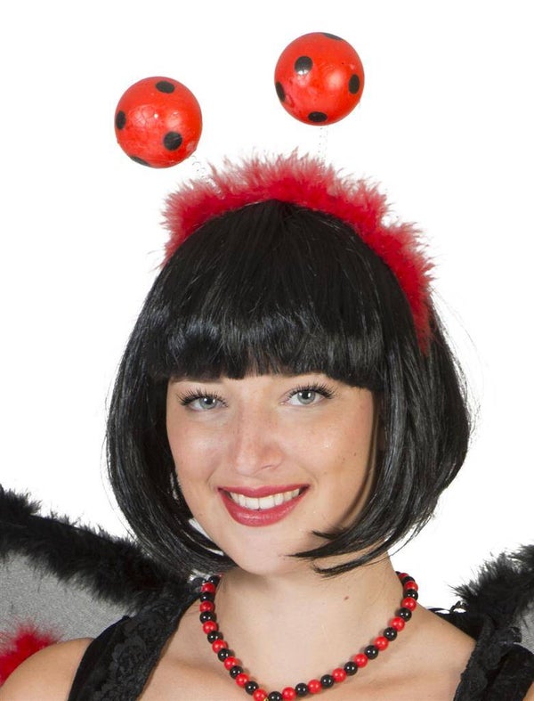 Diadeem lieveheersbeestje