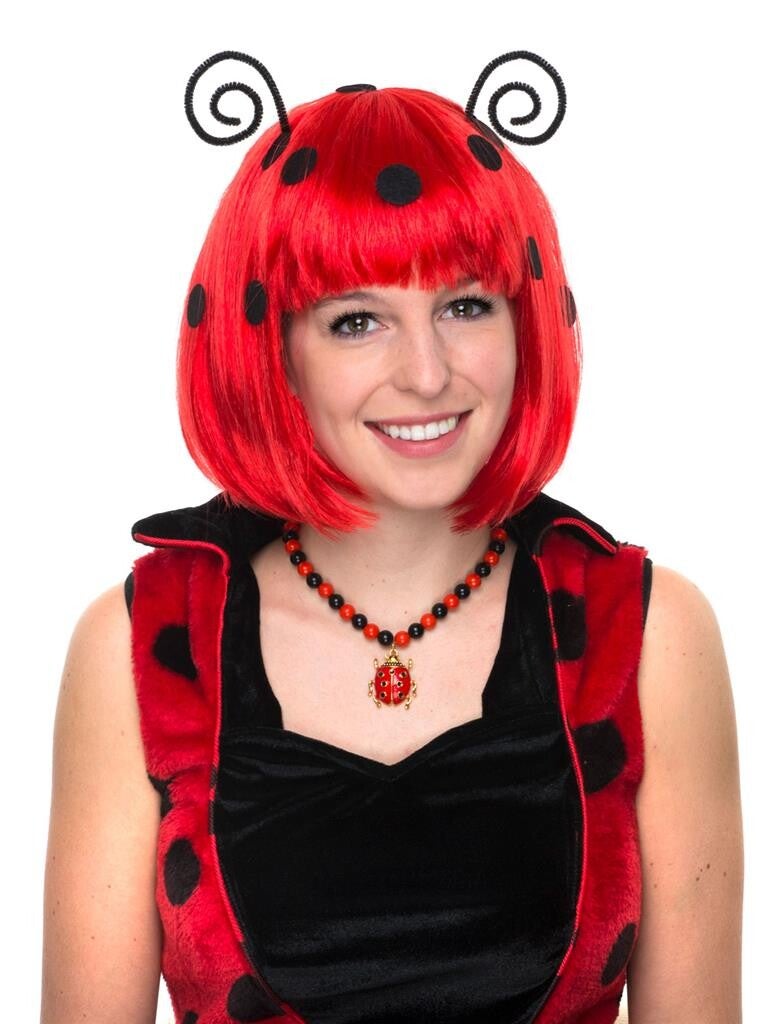 Pruik lieveheersbeestje