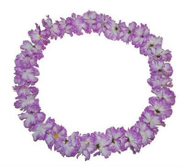 Bloemenkrans Hawaï paars wit