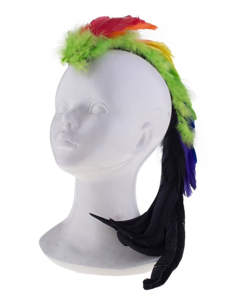 Haarclip regenboog Papagaai