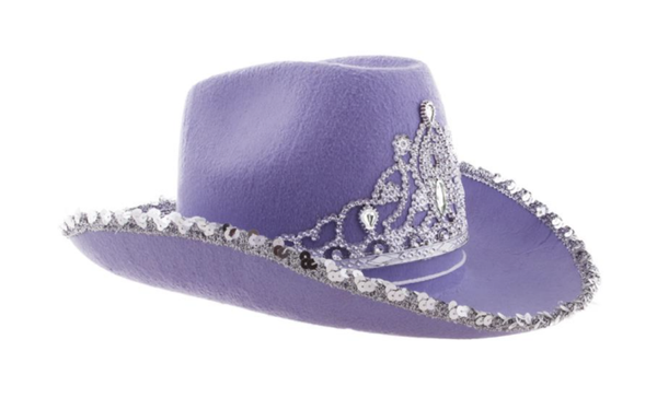 Cowboyhoed met kroon paars