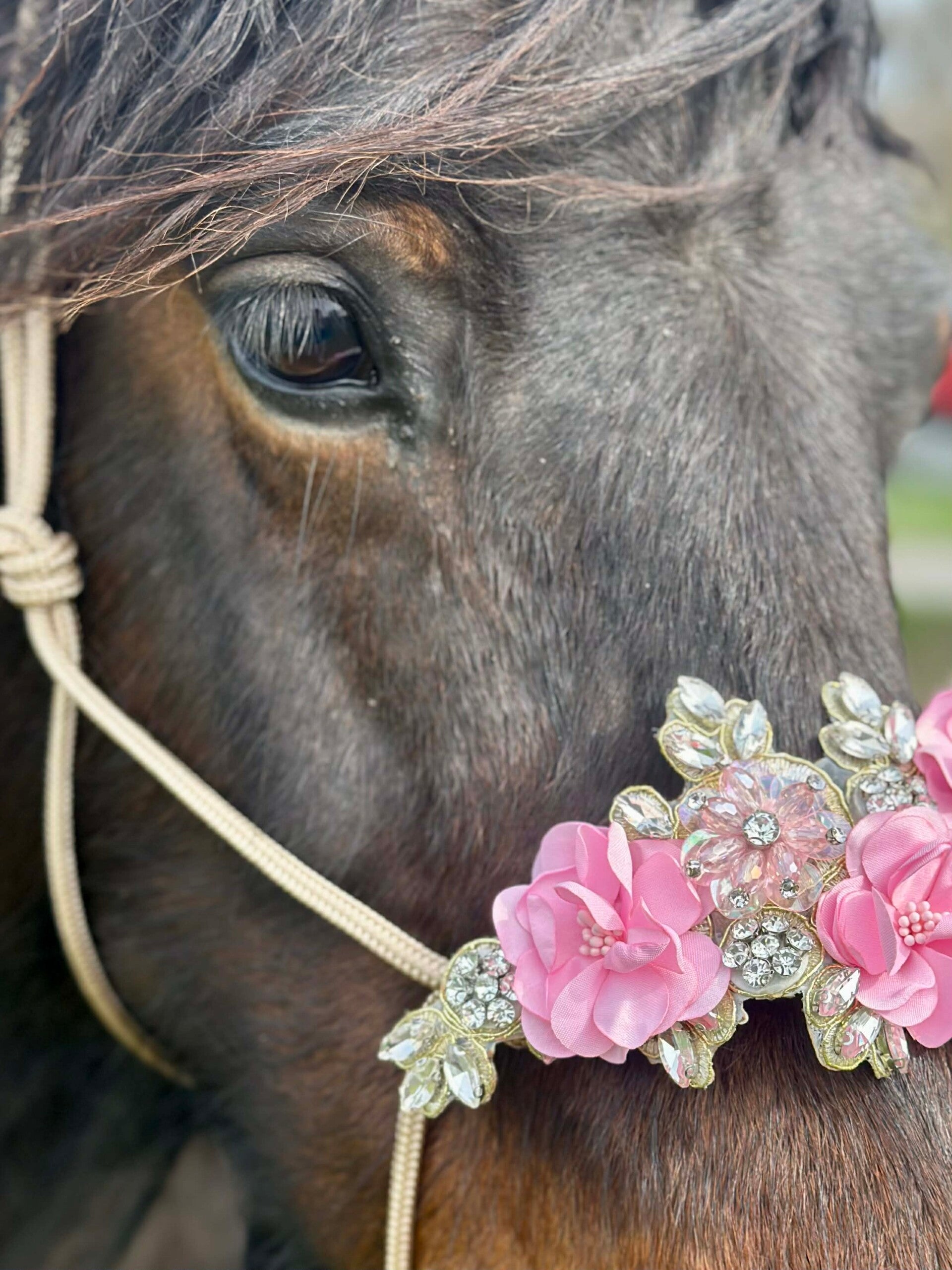 Flower power