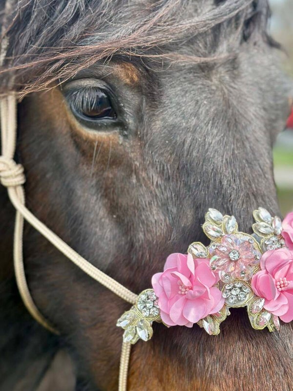 Flower power