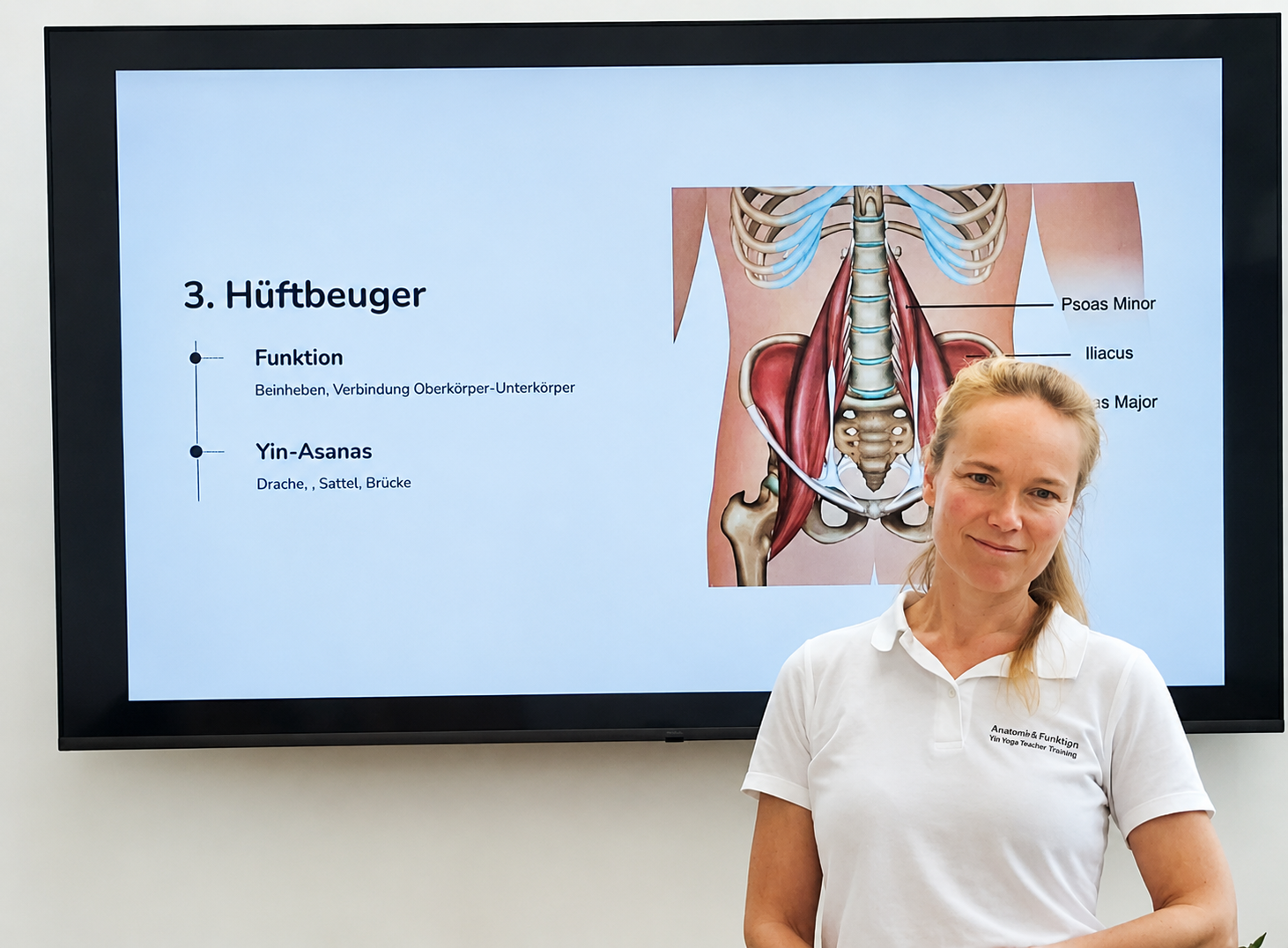 Yin Yoga Anatomie