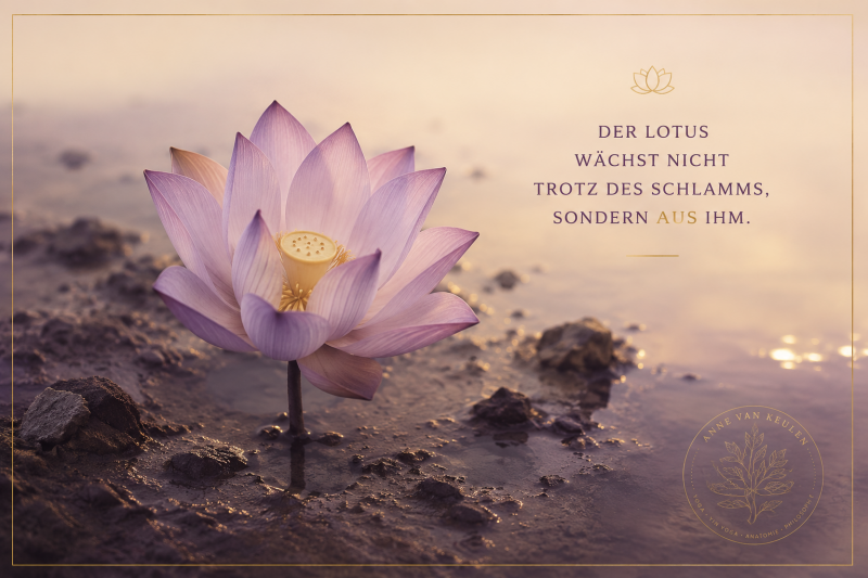Lotus im Schlamm Yoga Philosophie
