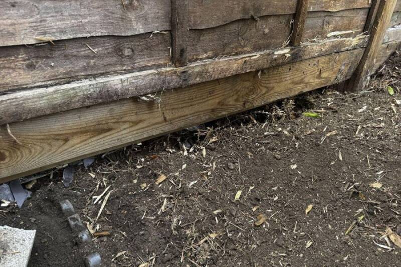 After: Fence line: bamboo stand dug out
