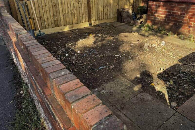 After: Front garden: bamboo removed