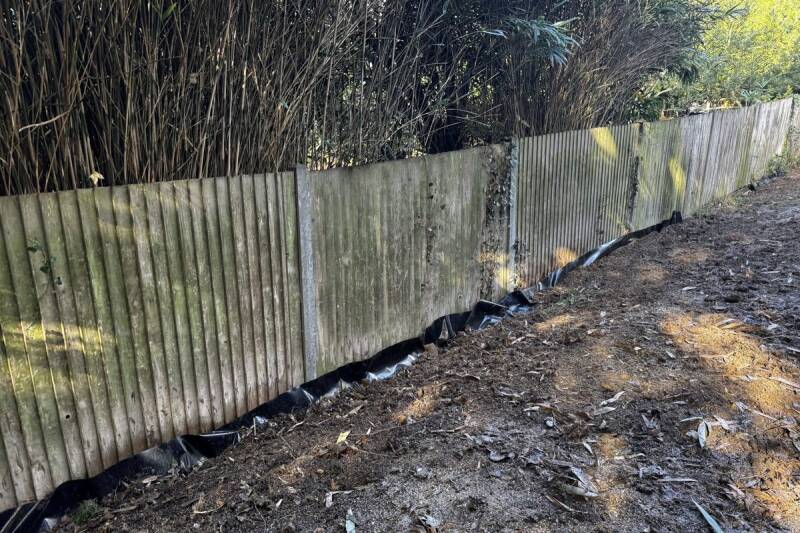 After: Henfield, bamboo dug out and root barrier fitted along the fence