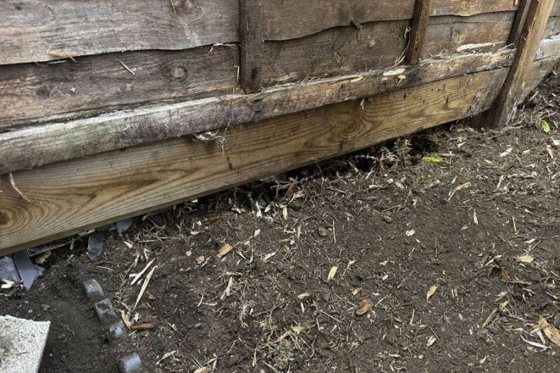 After: Fence line: bamboo stand dug out