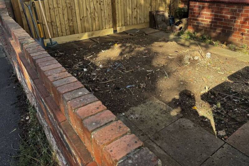After: Front garden: bamboo removed