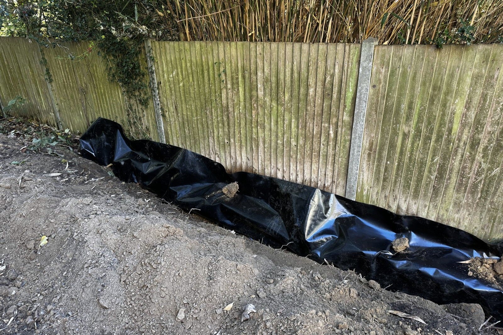Black specialist root barrier laid into a deep trench along a wooden fence, with the neighbour's bamboo visible above the fence.