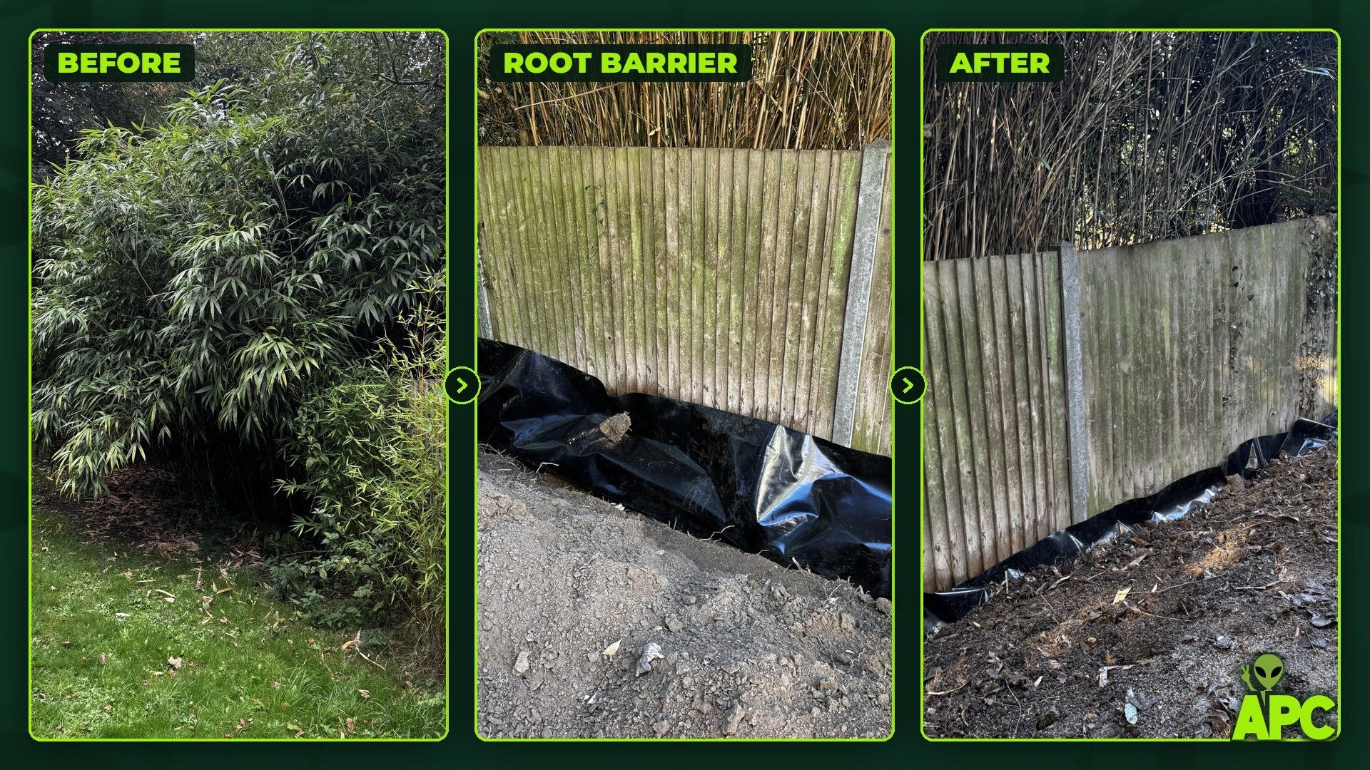 Three stages of the same garden boundary in Henfield: a mature stand of bamboo before work, black specialist root barrier going into the trench, and the finished level strip along the fence.