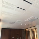 IMG_2462.jpg