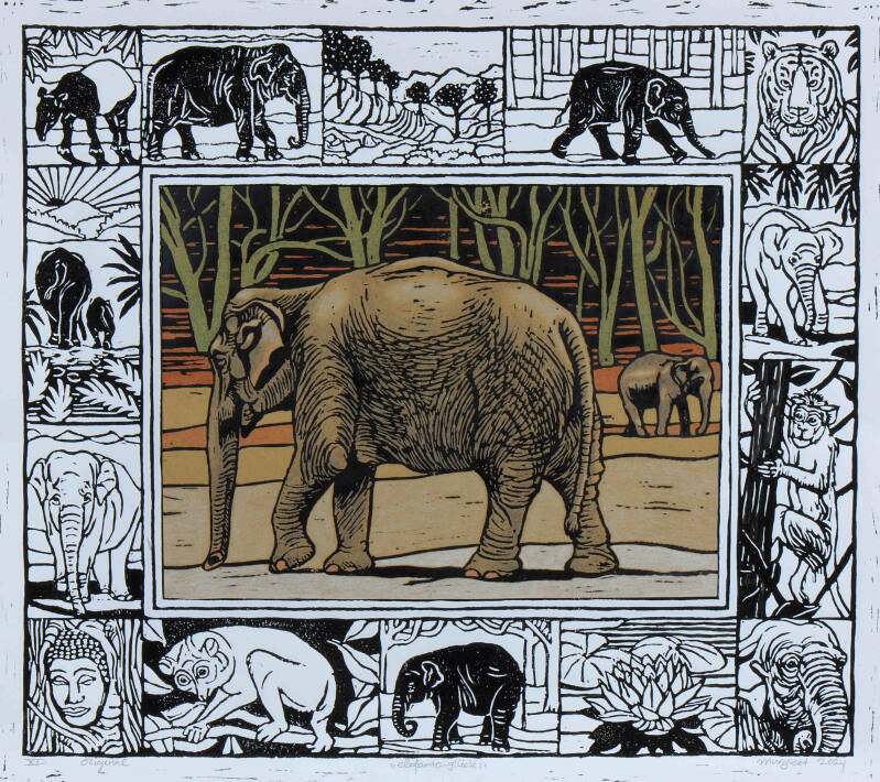 elefant-standard.jpg