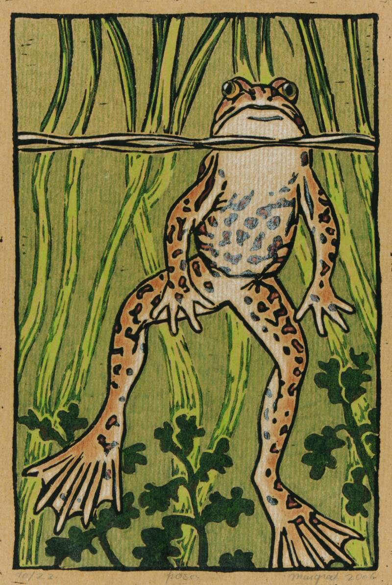 frosch_9393_klein-standard.jpg