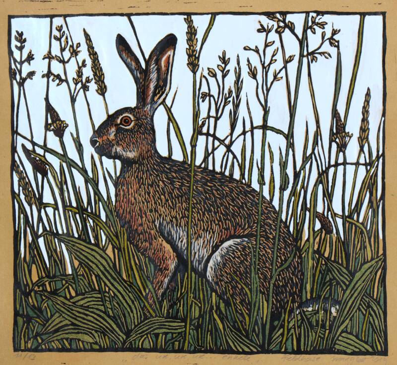 hase_insta_2093-standard.jpg