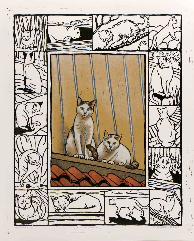 katzen9276klein-standard.jpg