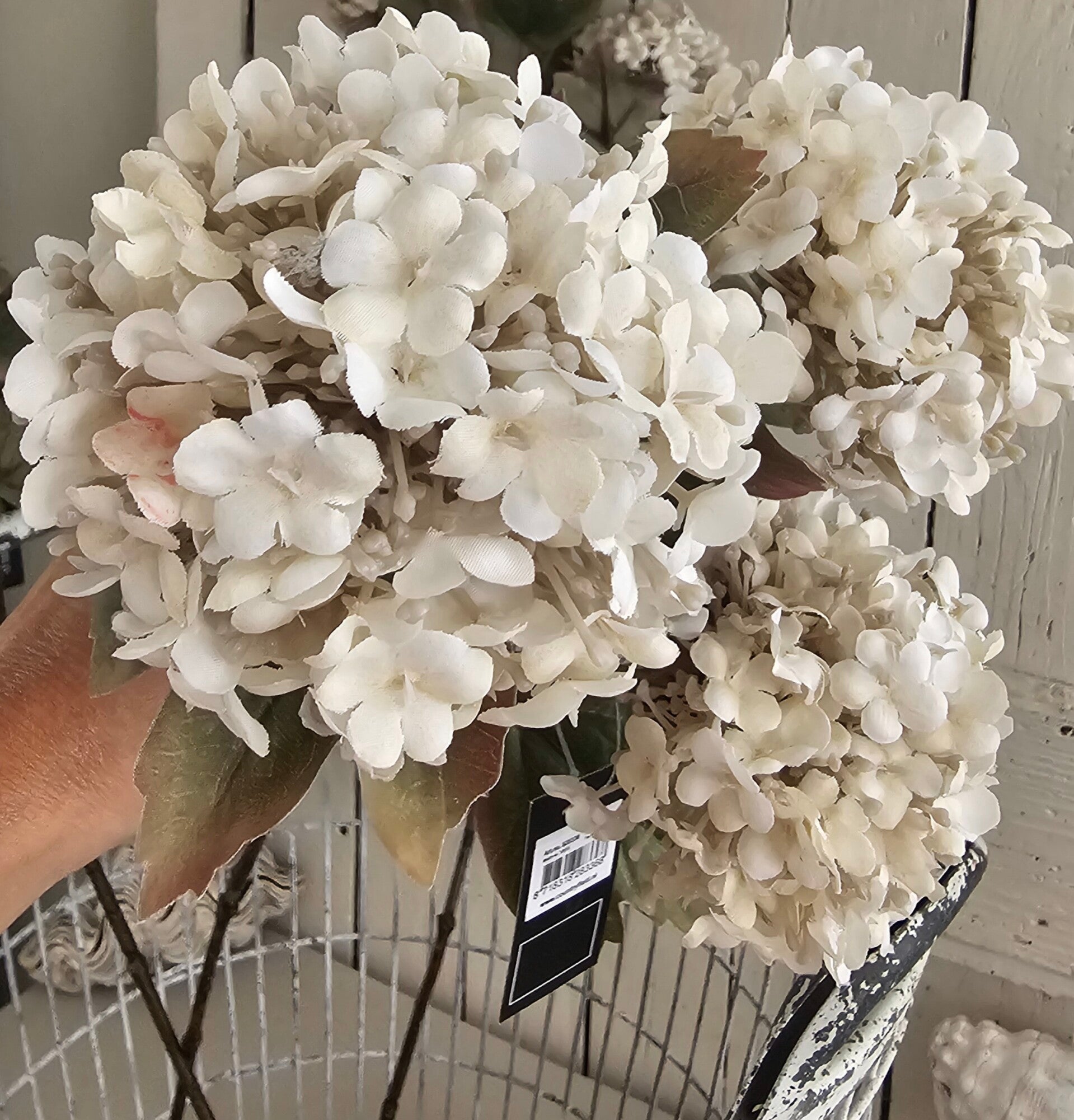Countryfield hortensia tak pst.