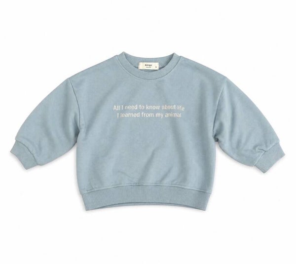 All i need to know sweater blauw