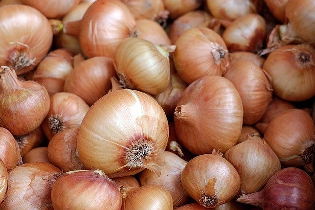 CEBOLLAS