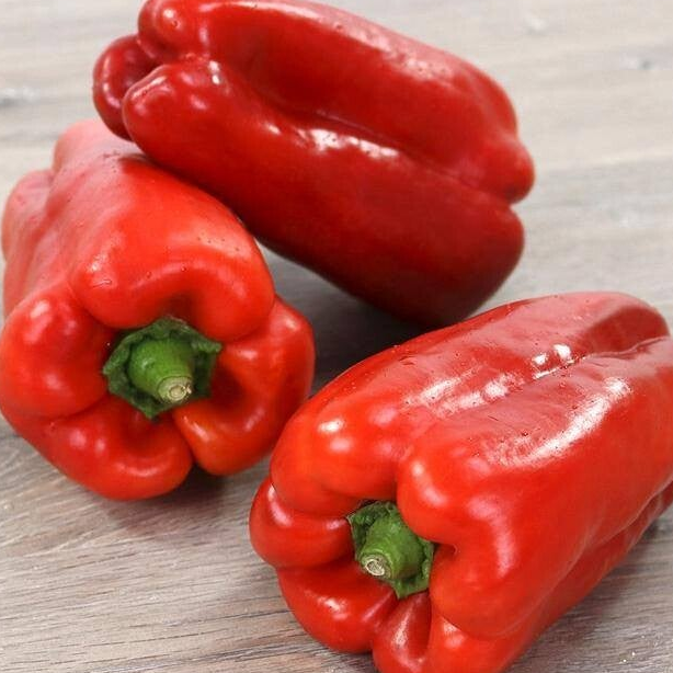 PIMIENTOS ROJO