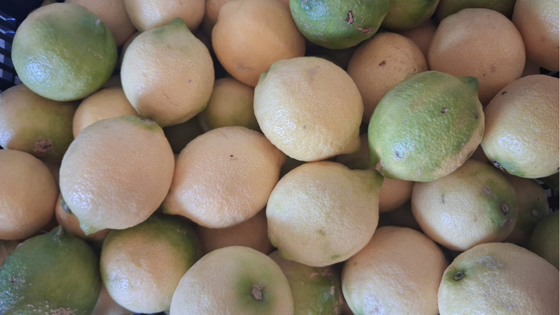 LIMONES