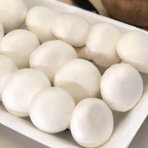 CHAMPIÑONES