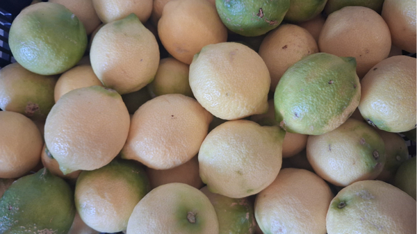 LIMONES