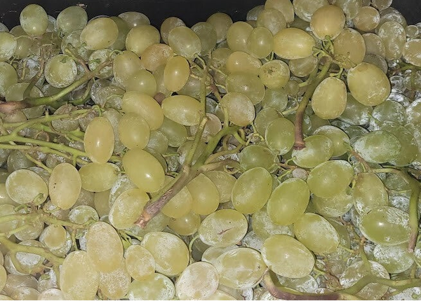 UVAS