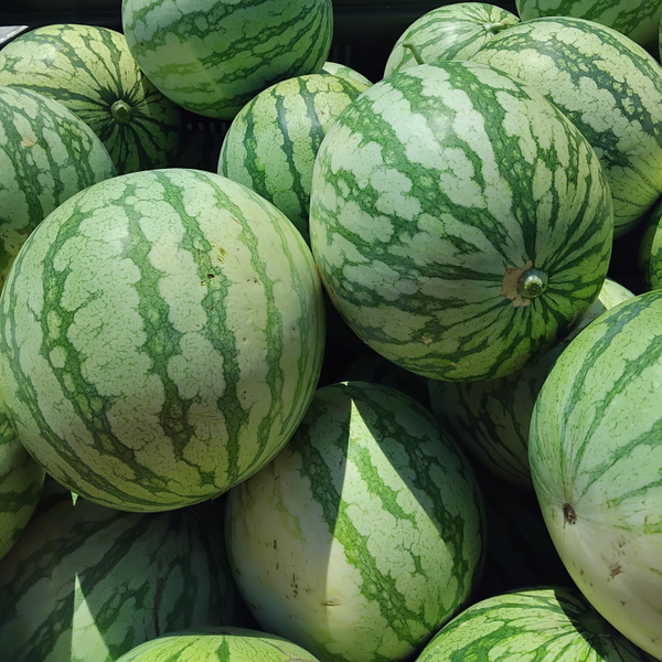 SANDIAS