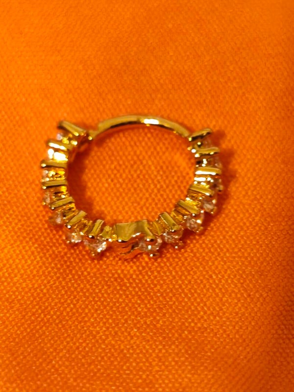 Piercing anneau nez